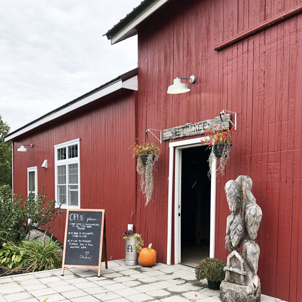 Abandon Brewing Taproom