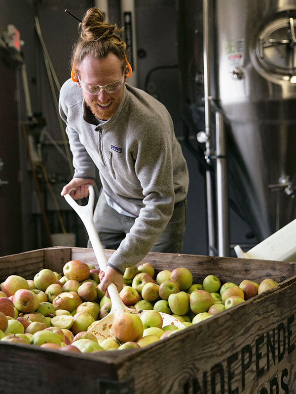 person working with apples for cider making